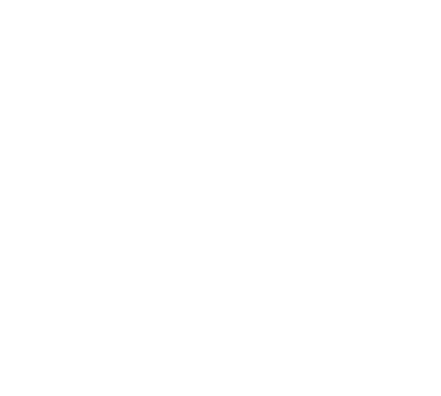 Velneo